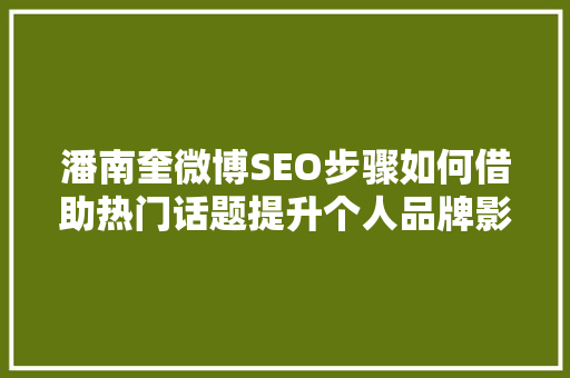 潘南奎微博SEO步骤如何借助热门话题提升个人品牌影响力 神马SEO
