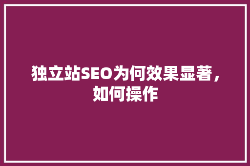 独立站SEO为何效果显著，如何操作 必应SEO