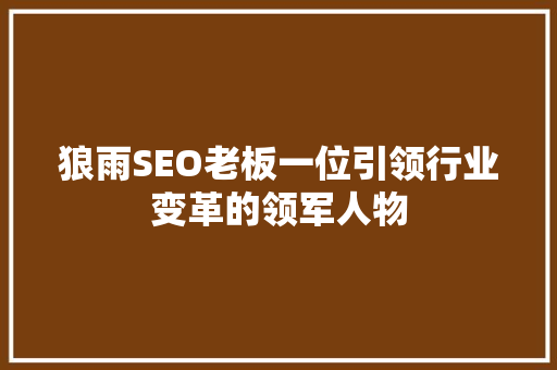 狼雨SEO老板一位引领行业变革的领军人物 神马SEO