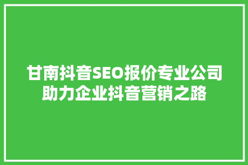 甘南抖音SEO报价专业公司助力企业抖音营销之路 百度SEO