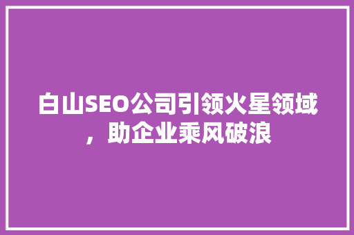 白山SEO公司引领火星领域，助企业乘风破浪 神马SEO