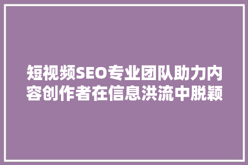 短视频SEO专业团队助力内容创作者在信息洪流中脱颖而出 必应SEO