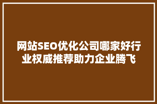 网站SEO优化公司哪家好行业权威推荐助力企业腾飞 必应SEO