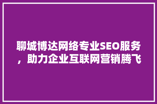 聊城博达网络专业SEO服务，助力企业互联网营销腾飞 SEO关键词