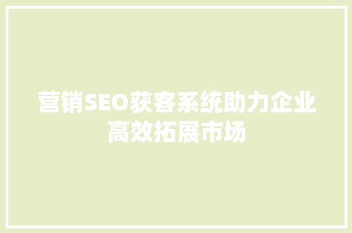 营销SEO获客系统助力企业高效拓展市场 网站建设公司