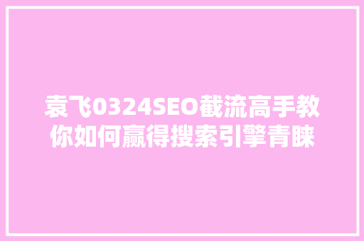 袁飞0324SEO截流高手教你如何赢得搜索引擎青睐 SEO关键词