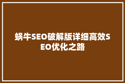 蜗牛SEO破解版详细高效SEO优化之路 网站建设公司