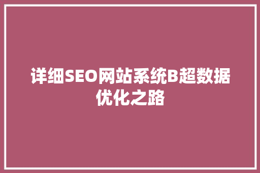 详细SEO网站系统B超数据优化之路 搜狗SEO