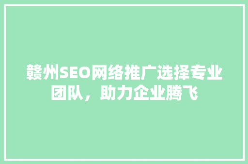 赣州SEO网络推广选择专业团队，助力企业腾飞