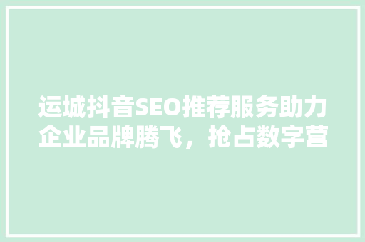 运城抖音SEO推荐服务助力企业品牌腾飞，抢占数字营销制高点