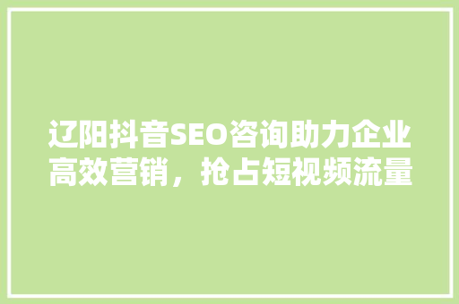 辽阳抖音SEO咨询助力企业高效营销，抢占短视频流量红利 SEO关键词
