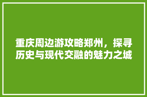 重庆周边游攻略郑州，探寻历史与现代交融的魅力之城 必应SEO