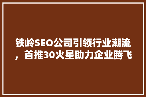 铁岭SEO公司引领行业潮流，首推30火星助力企业腾飞 SEO关键词