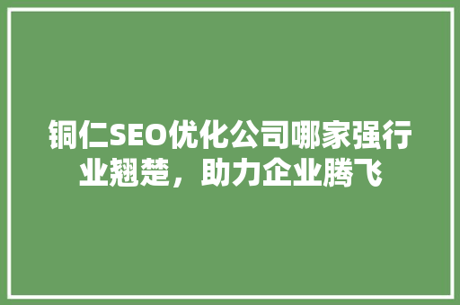 铜仁SEO优化公司哪家强行业翘楚，助力企业腾飞 百度SEO