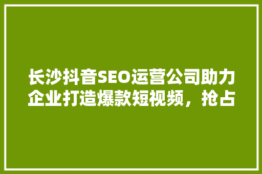 长沙抖音SEO运营公司助力企业打造爆款短视频，抢占流量高地 必应SEO