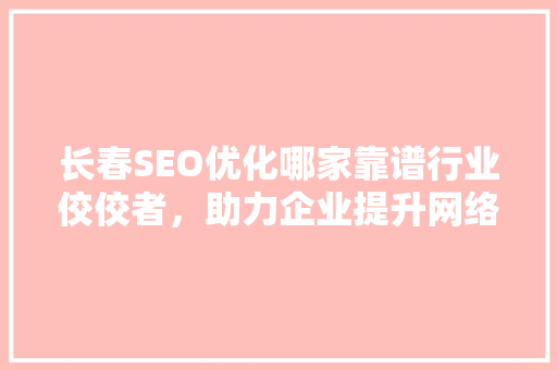 长春SEO优化哪家靠谱行业佼佼者，助力企业提升网络竞争力 神马SEO