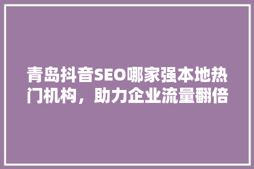 青岛抖音SEO哪家强本地热门机构，助力企业流量翻倍 神马SEO