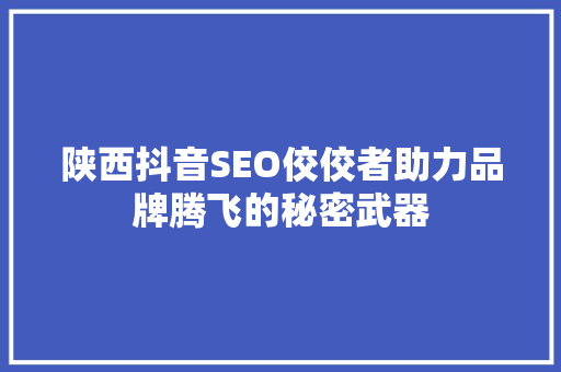 陕西抖音SEO佼佼者助力品牌腾飞的秘密武器 百度SEO