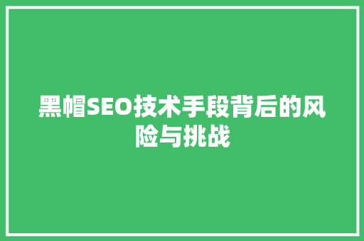 黑帽SEO技术手段背后的风险与挑战 网站建设公司