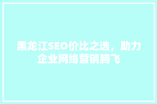 黑龙江SEO价比之选，助力企业网络营销腾飞 百度SEO
