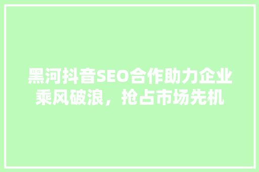 黑河抖音SEO合作助力企业乘风破浪，抢占市场先机 网站建设公司