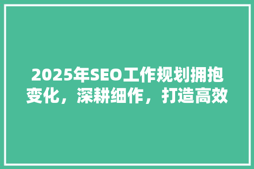 2025年SEO工作规划拥抱变化，深耕细作，打造高效搜索引擎优化步骤 SEO关键词