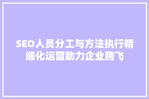 SEO人员分工与方法执行精细化运营助力企业腾飞 必应SEO