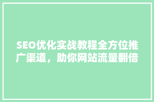 SEO优化实战教程全方位推广渠道,助你网站流量翻倍 网站建设公司 SEO优化实战教程全方位推广渠道,助你网站流量翻倍 网站建设公司
