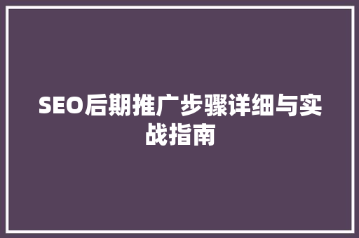 SEO后期推广步骤详细与实战指南