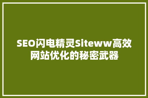 SEO闪电精灵Siteww高效网站优化的秘密武器