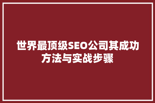 世界最顶级SEO公司其成功方法与实战步骤 SEO关键词