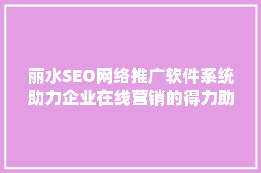 丽水SEO网络推广软件系统助力企业在线营销的得力助手 网站建设公司