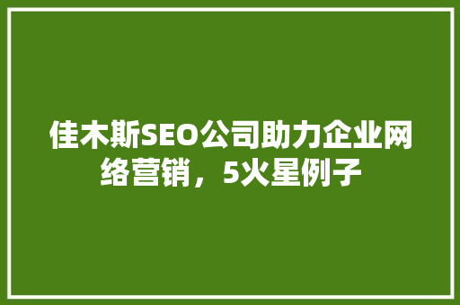 佳木斯SEO公司助力企业网络营销，5火星例子 必应SEO