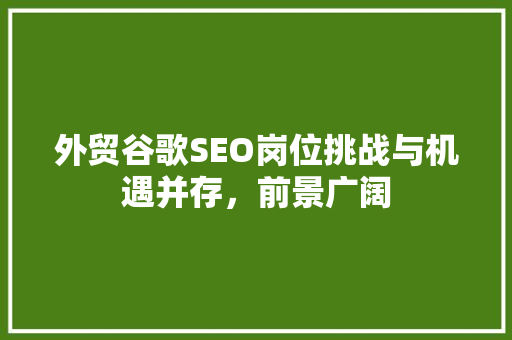 外贸谷歌SEO岗位挑战与机遇并存，前景广阔 必应SEO