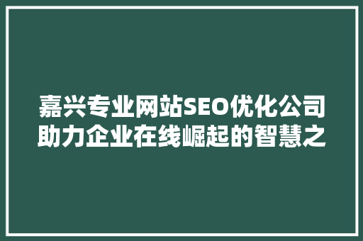 嘉兴专业网站SEO优化公司助力企业在线崛起的智慧之选 必应SEO