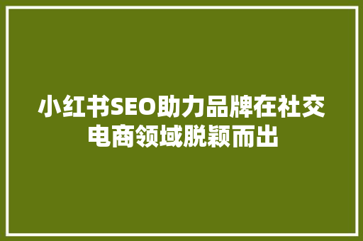 小红书SEO助力品牌在社交电商领域脱颖而出 必应SEO