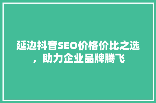 延边抖音SEO价格价比之选，助力企业品牌腾飞 SEO关键词