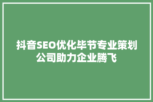 抖音SEO优化毕节专业策划公司助力企业腾飞 网站建设公司