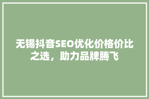 无锡抖音SEO优化价格价比之选，助力品牌腾飞 SEO关键词