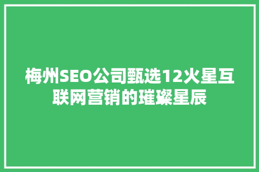 梅州SEO公司甄选12火星互联网营销的璀璨星辰 必应SEO