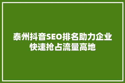 泰州抖音SEO排名助力企业快速抢占流量高地 百度SEO