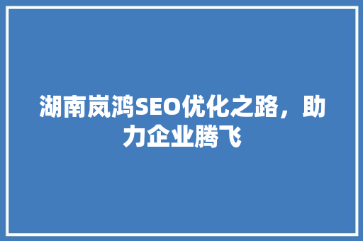 湖南岚鸿SEO优化之路，助力企业腾飞 SEO关键词