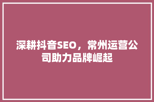 深耕抖音SEO，常州运营公司助力品牌崛起 必应SEO