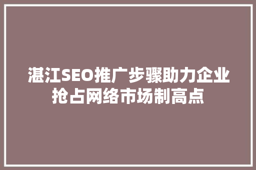湛江SEO推广步骤助力企业抢占网络市场制高点 SEO关键词