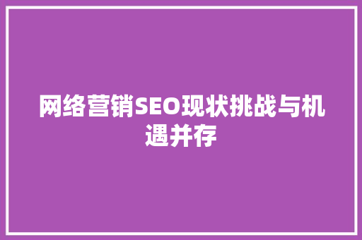 网络营销SEO现状挑战与机遇并存 必应SEO