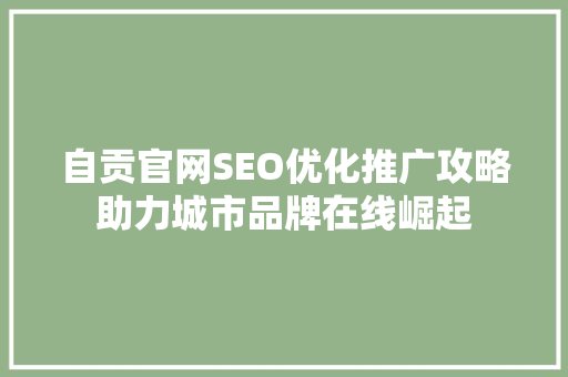 自贡官网SEO优化推广攻略助力城市品牌在线崛起 搜狗SEO