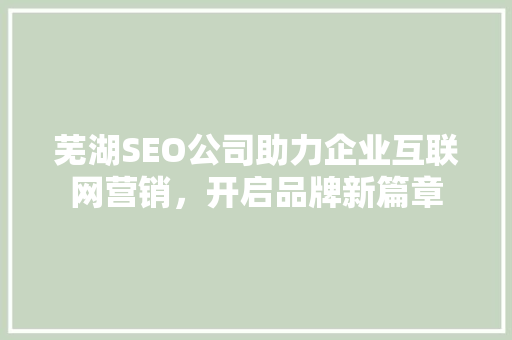 芜湖SEO公司助力企业互联网营销，开启品牌新篇章 SEO关键词