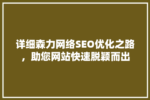 详细森力网络SEO优化之路，助您网站快速脱颖而出