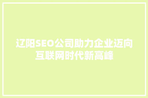 辽阳SEO公司助力企业迈向互联网时代新高峰 网站建设公司