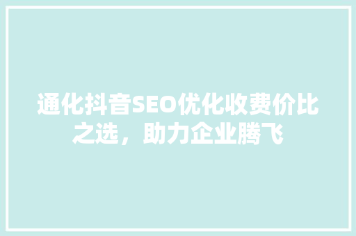 通化抖音SEO优化收费价比之选，助力企业腾飞 网站建设公司